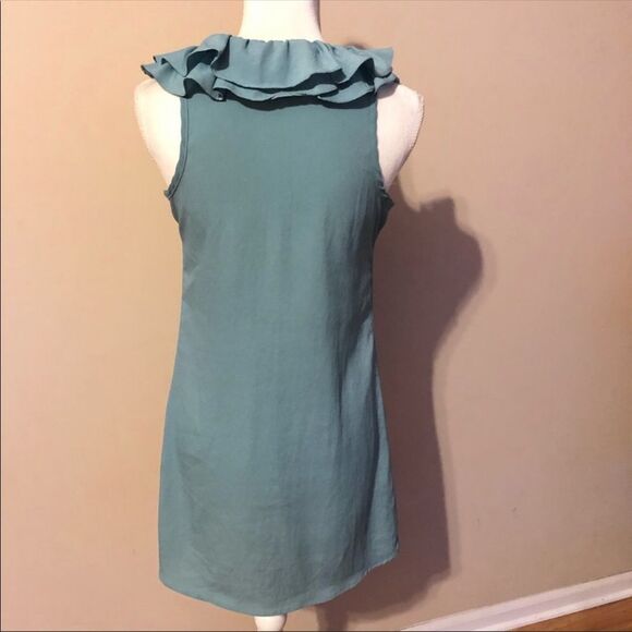 ⭐️ Pins And Needles Ruffle Dress - Picture 4 of 7